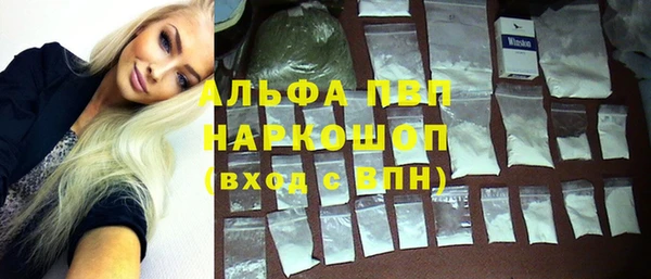хмурый Пересвет