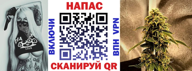 Бошки Шишки планчик  omg как войти  Биробиджан 